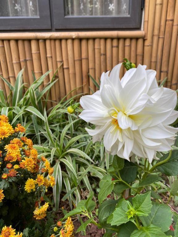 Trang An Moon Garden Homestay Ninh Binh Luaran gambar